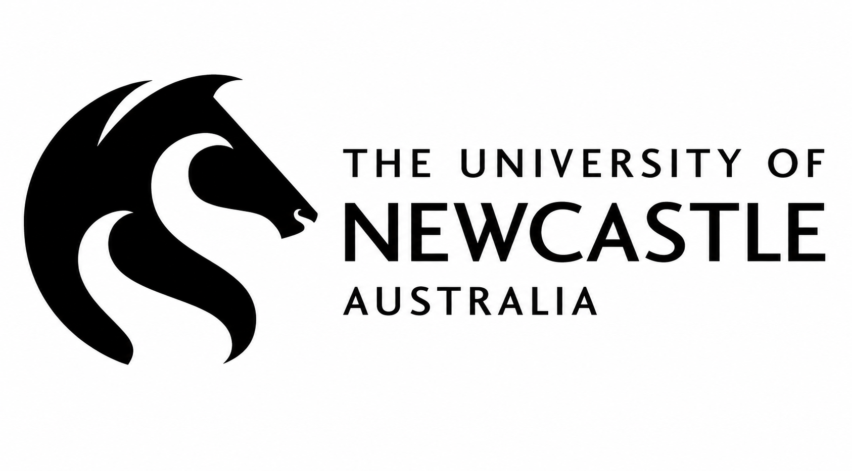 The University  Newcastle logo